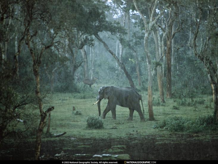 National Geographic - NGM1969_02p174-5.jpg