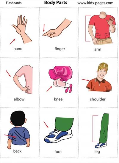 język angielski dzieci karty pracy - Flashcard18.jpg