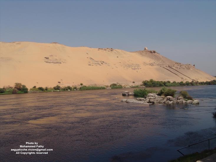 Przyroda - Przyroda w Aswan 52.jpg