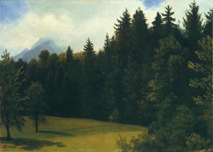 Albert Bierstads 1830  1902 - Bierstadt_Albert_Mountain_Resort.jpg