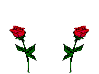 Róże - Róże 13.gif